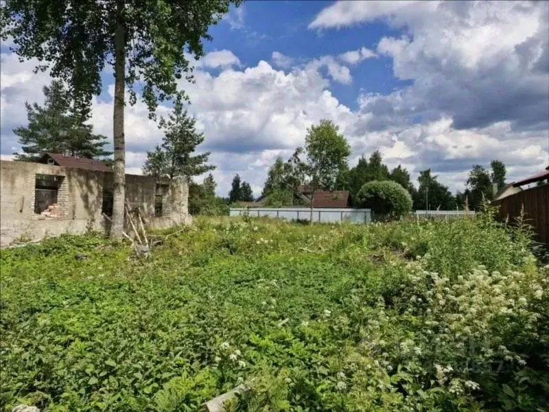 Участок в Ленинградская область, Гатчинский муниципальный округ, ... - Фото 1