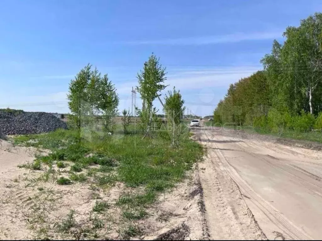 Участок 6 сот. (СНТ, ДНП) - Фото 1