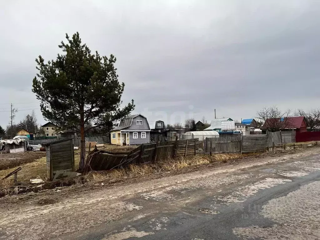 Участок в Вологодская область, Вологда Ручеек садоводческое ... - Фото 1