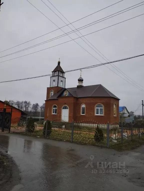 Участок в Самарская область, Шигонский район, с. Муранка ул. Мичурина ... - Фото 0