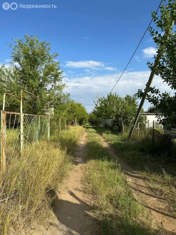 Дом в Волгоград, СНТ Ивушка, Абрикосовая улица (25 м) - Фото 1