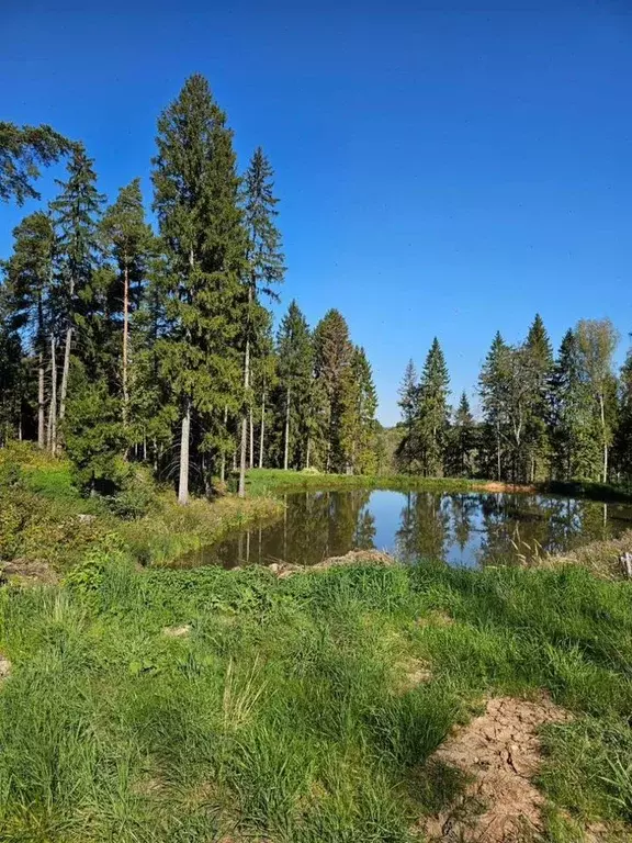Участок в Московская область, Серпухов городской округ, Труд СНТ 57 ... - Фото 1