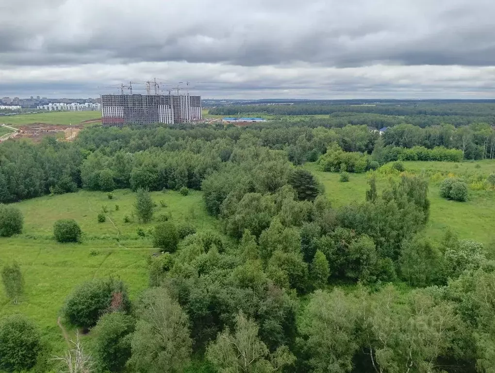 3-к кв. Московская область, Ленинский городской округ, Мисайлово пгт, ... - Фото 0