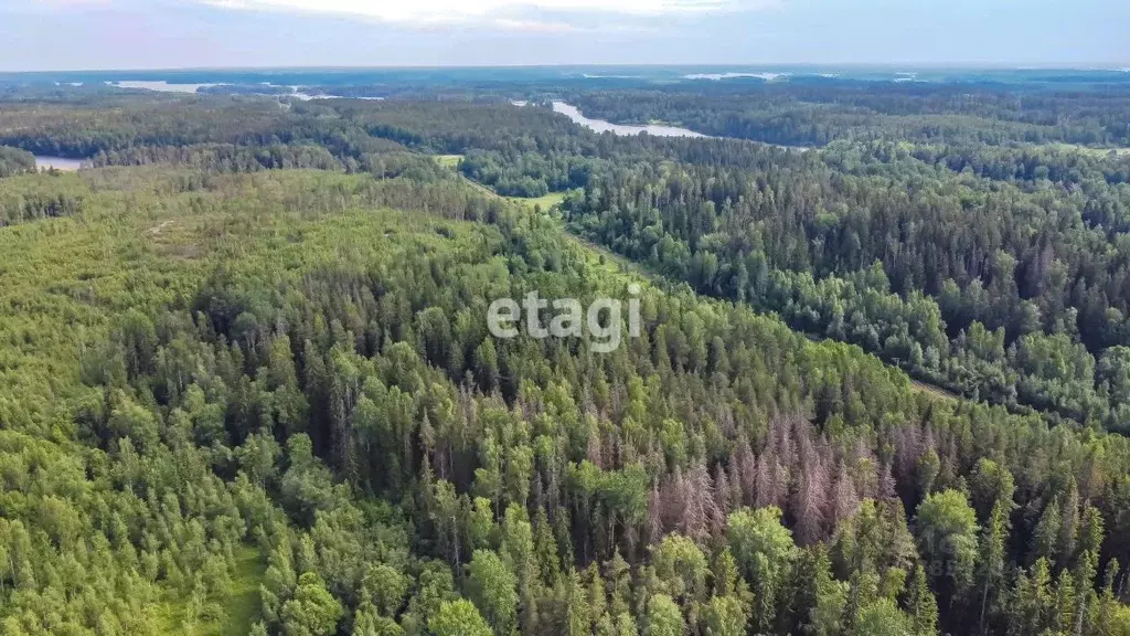 Участок в Ленинградская область, Приозерский район, Севастьяновское ... - Фото 0