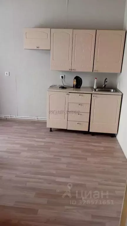 Дом в Алтай, Горно-Алтайск Рябиновый пер., 3 (70 м) - Фото 2