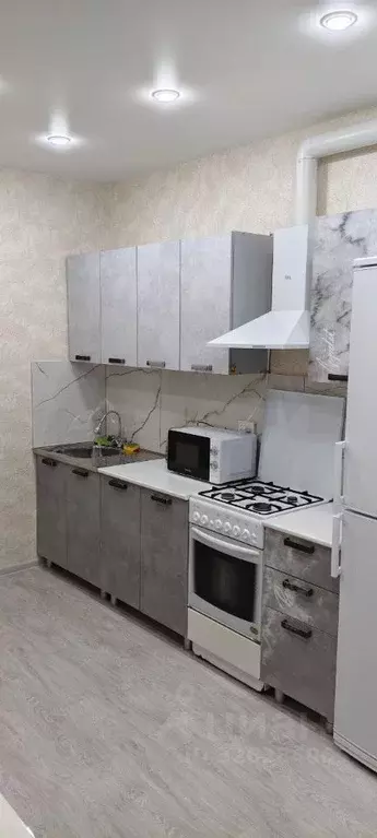 1-к кв. Белгородская область, Алексеевка ул. Льва Толстого, 70А (42.0 ... - Фото 1