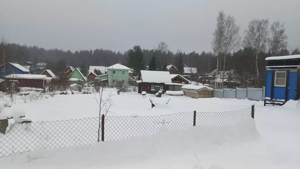 Участок в Ленинградская область, Приозерский район, Ромашкинское ... - Фото 2