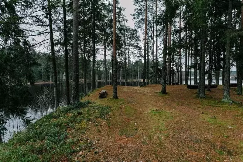 Участок в Ленинградская область, Выборгский район, Рощино пгт ул. ... - Фото 0