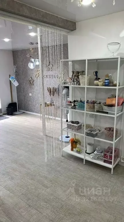 Помещение свободного назначения в Челябинская область, Троицк ... - Фото 1