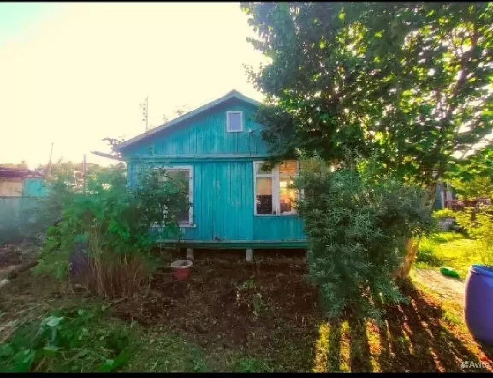 Продается дача в д. Новинки - Фото 2