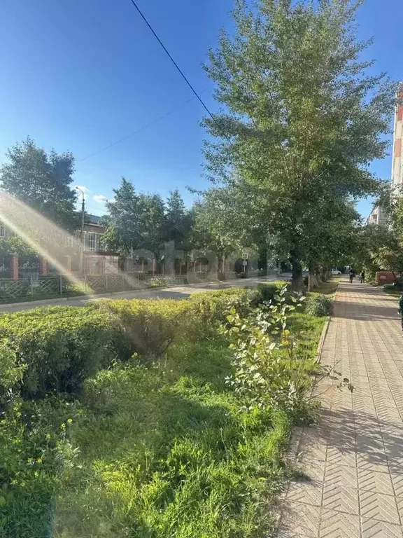 Офис в Бурятия, Улан-Удэ ул. Чертенкова, 6 (206 м) - Фото 1