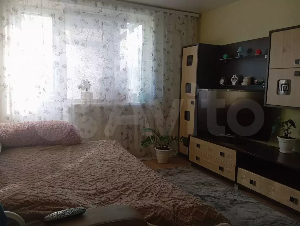1-к. квартира, 29 м, 3/5 эт. - Фото 0