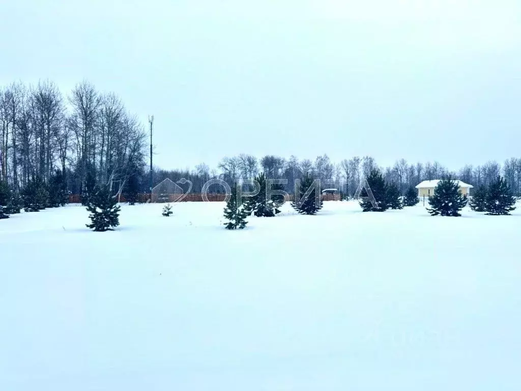 Участок в Тюменская область, Тюменский муниципальный округ, ... - Фото 2