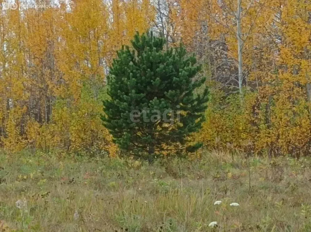 Участок в Алапаевск, Рубиновая улица (10.5 м) - Фото 1