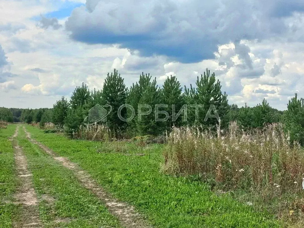 Участок в Тюменская область, Нижнетавдинский район, пос. Кунчур  (8.0 ... - Фото 0