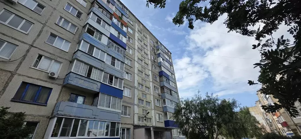 1-к кв. Липецкая область, Елец ул. Коммунаров, 129 (36.0 м) - Фото 0