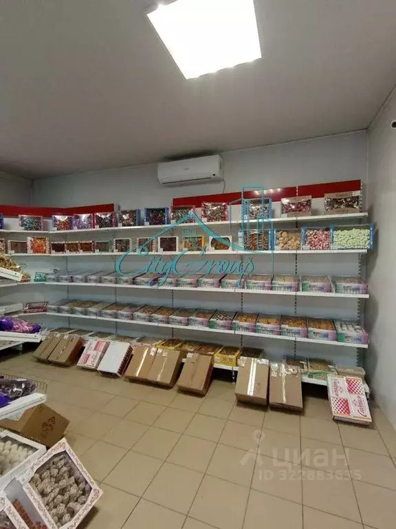 Производственное помещение в Оренбургская область, Орск пос. ... - Фото 2