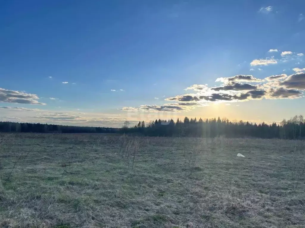 Участок в Костромская область, Красносельский район, Гридинское с/пос, ... - Фото 2