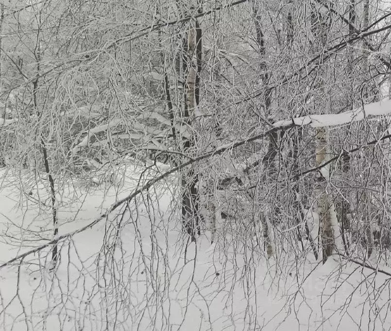 Участок в Московская область, Дмитровский муниципальный округ, д. ... - Фото 1