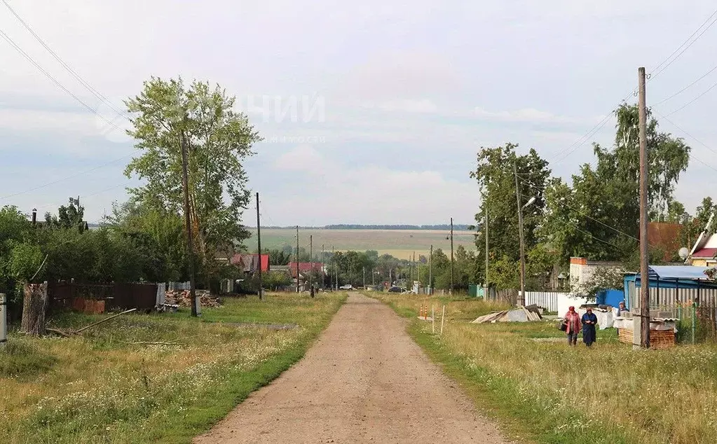 Участок в Чувашия, Цивильский муниципальный округ, д. Сюлескеры  (50.0 ... - Фото 1
