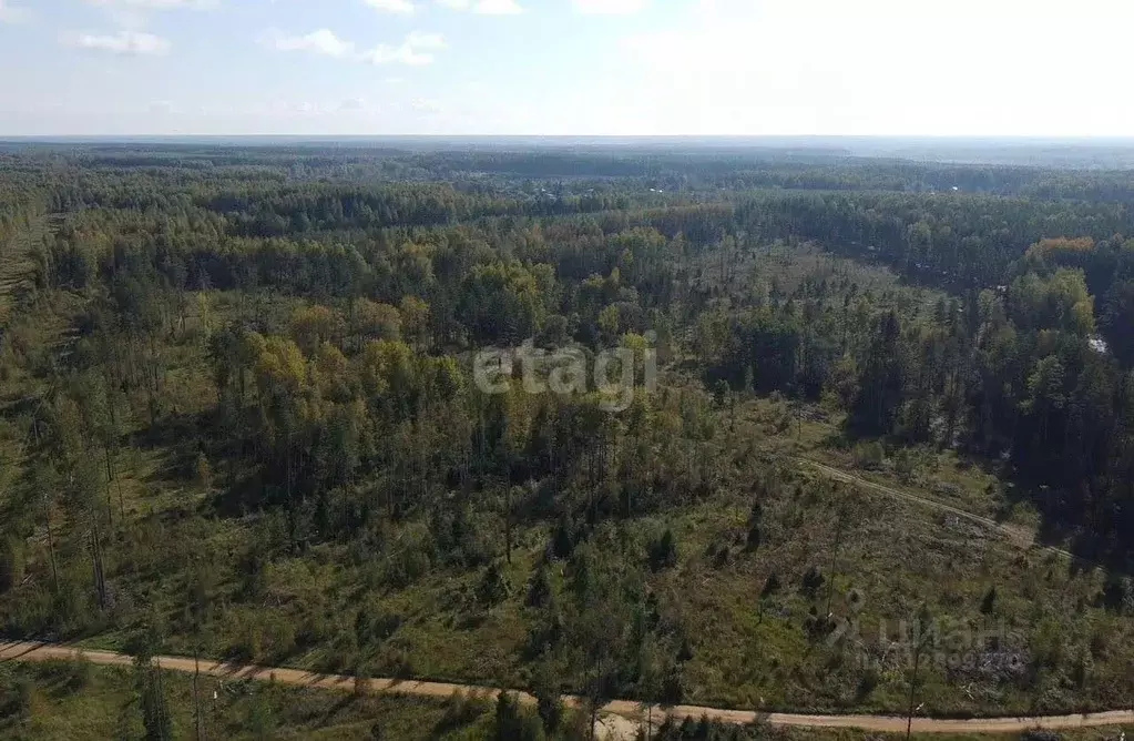 Участок в Ярославская область, Некрасовское с/пос, д. Смирново  (94.0 ... - Фото 0