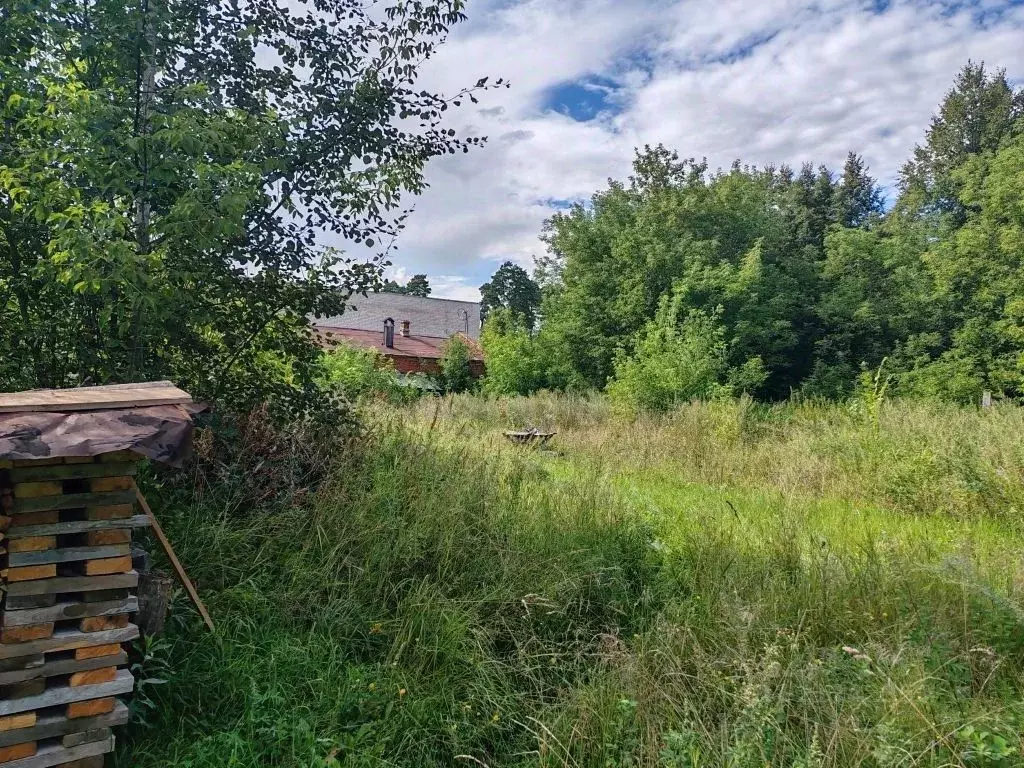 Участок в Ивановская область, Лежневский район, с. Новые Горки ул. ... - Фото 1
