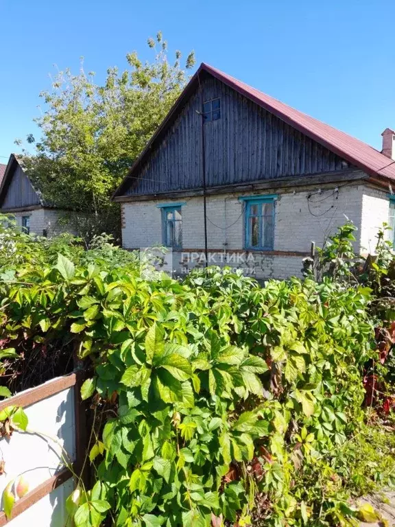 Дом в Липецкая область, Долгоруковский сельсовет, д. Екатериновка ул. ... - Фото 1