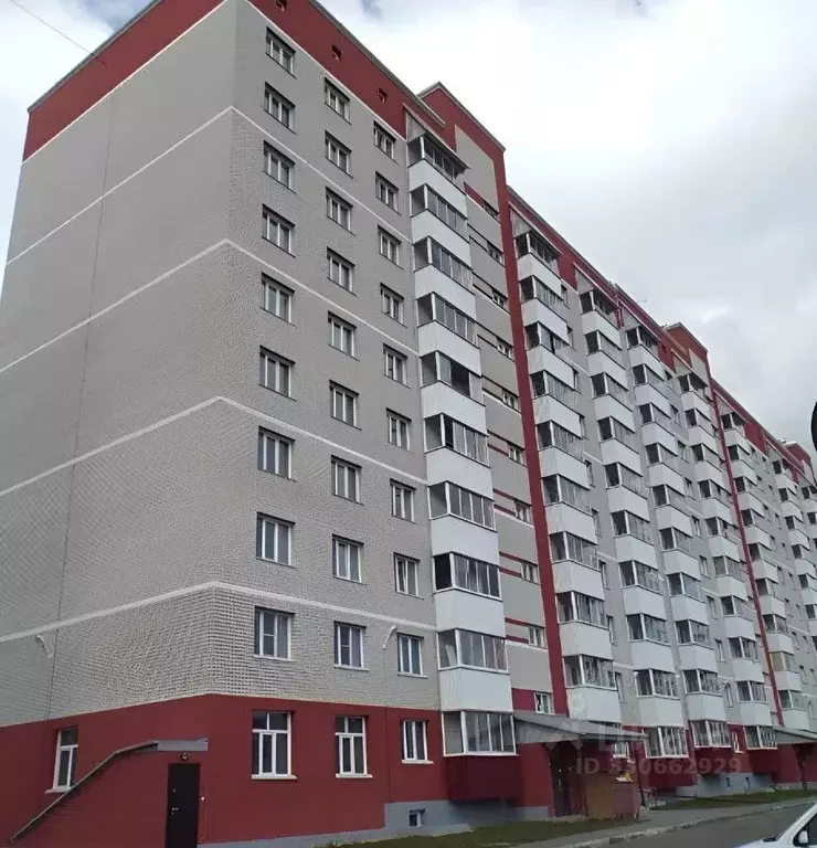 Студия Алтайский край, Новоалтайск ул. Анатолия, 94 (26.0 м) - Фото 1