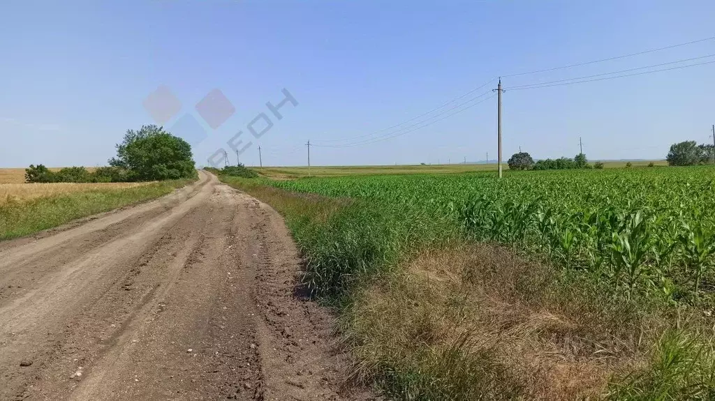 Участок в Краснодарский край, Северская ст-ца  (320.0 сот.) - Фото 0