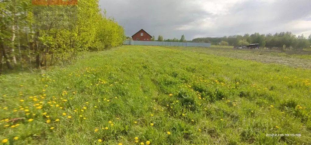 Участок в Рязанская область, Спасский муниципальный округ, с. Кирицы  ... - Фото 1
