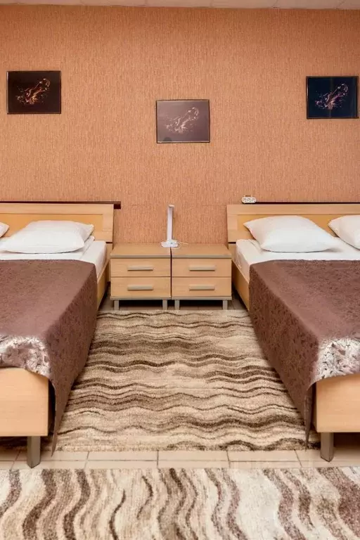 Комната Нижегородская область, Арзамас ул. Володарского, 83б (55.0 м) - Фото 2