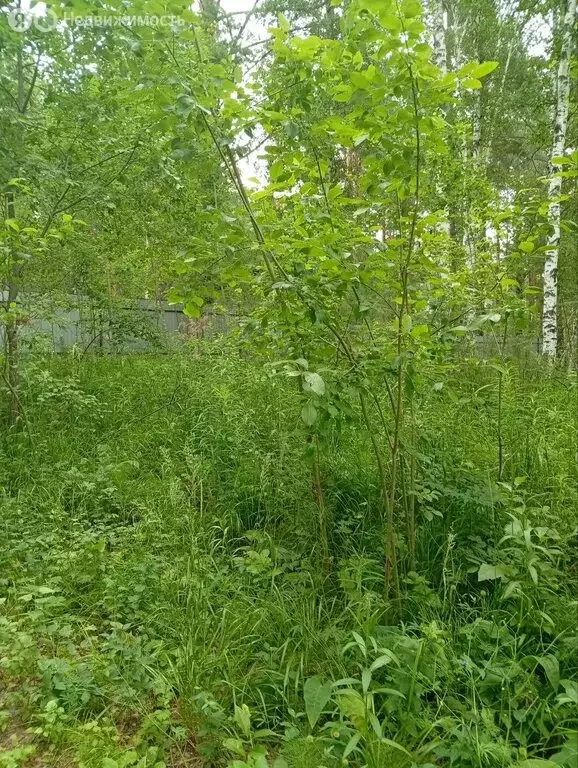 Участок в Иркутский муниципальный округ, СПК Юбилейный (10 м) - Фото 1