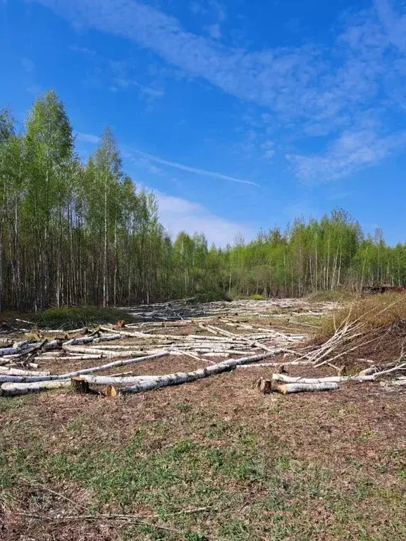 Купить Участок В Полково Рязанской