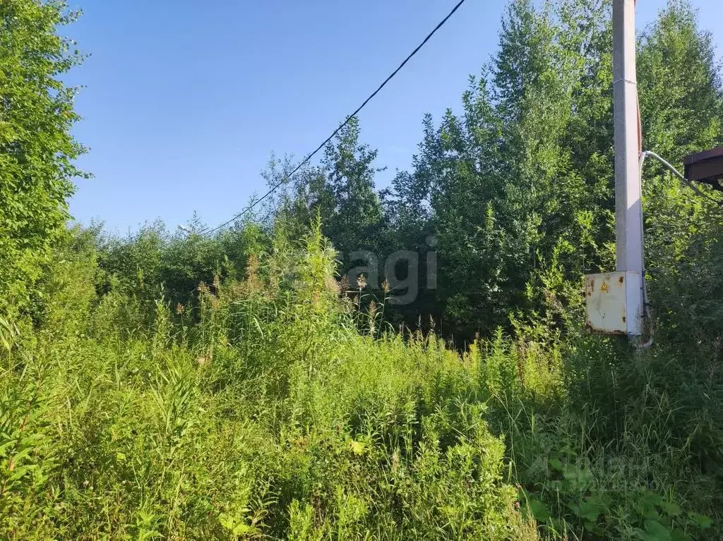 Участок в Архангельская область, Новодвинск ул. Берденникова, 4 (10.0 ... - Фото 1