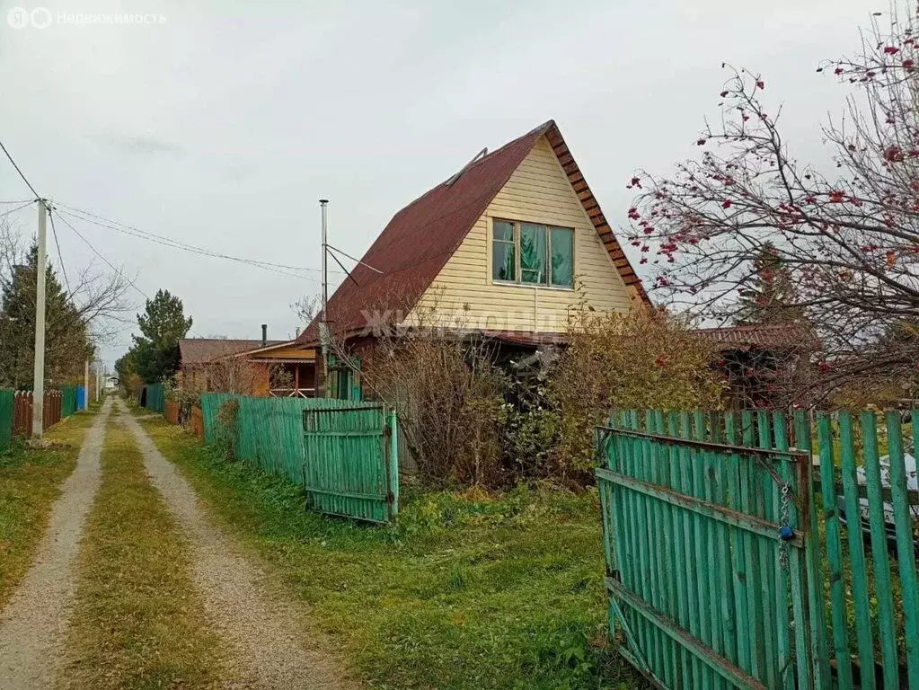 Дом в Колыванский район, СТ Надежда (113.1 м) - Фото 1