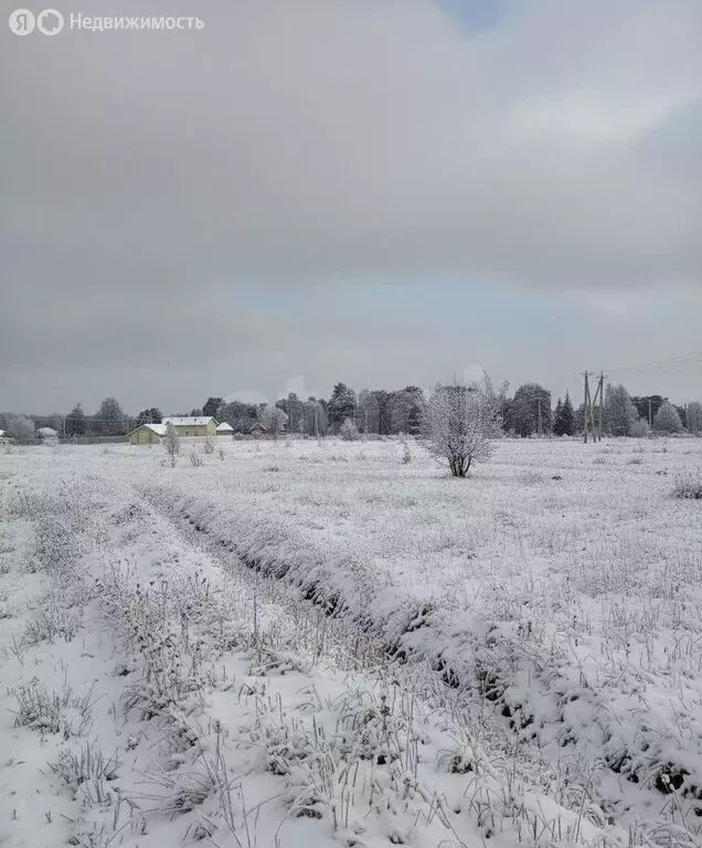Участок в Заокский район, сельское поселение Демидовское, село ... - Фото 1