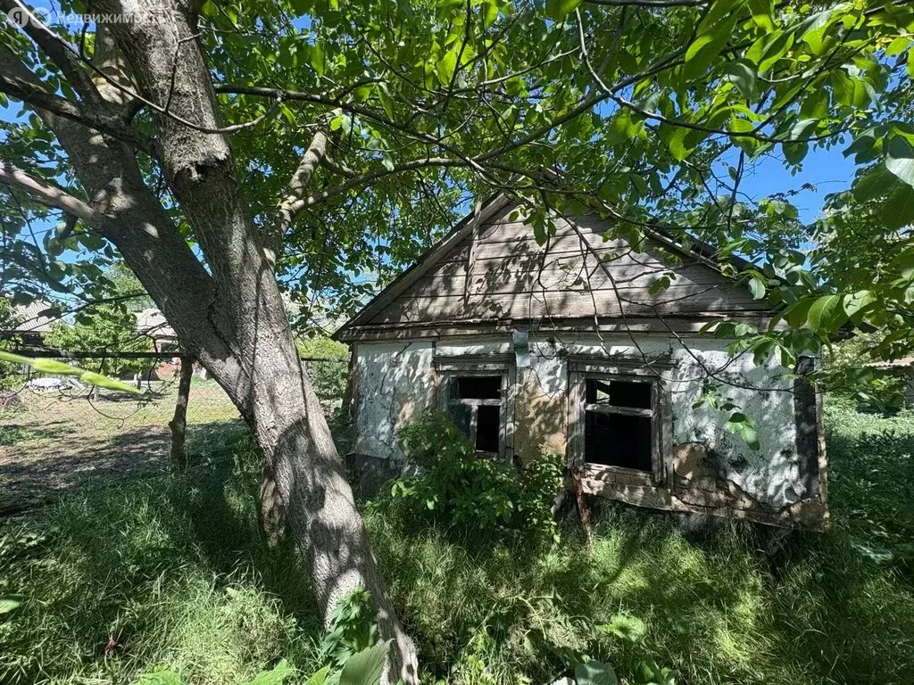Дом в Ейский район, станица Ясенская (20 м) - Фото 1
