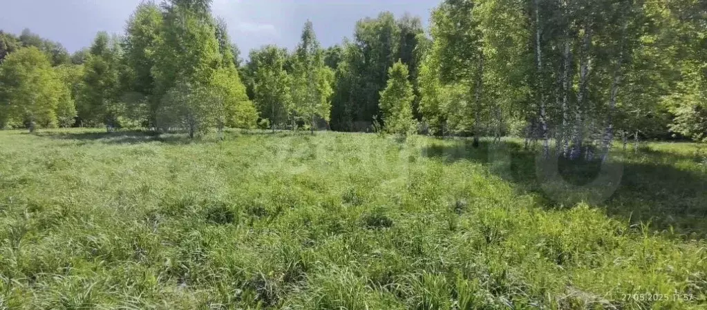 Участок в Новосибирская область, Новосибирский район, Каменский ... - Фото 2