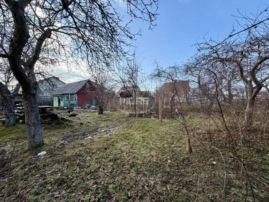 Участок в Калининградская область, Калининград Вишневый сад СНТ, ... - Фото 1