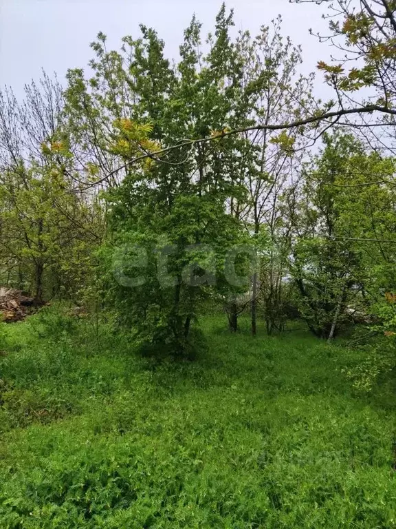 Участок в Краснодарский край, Новороссийск городской округ, Дюрсо СТ  ... - Фото 1