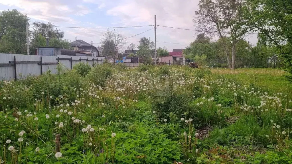 Участок в Калининградская область, Гурьевский муниципальный округ, ... - Фото 1
