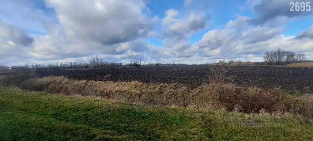 Участок в Краснодарский край, Динской район, Нововеличковское с/пос, ... - Фото 2