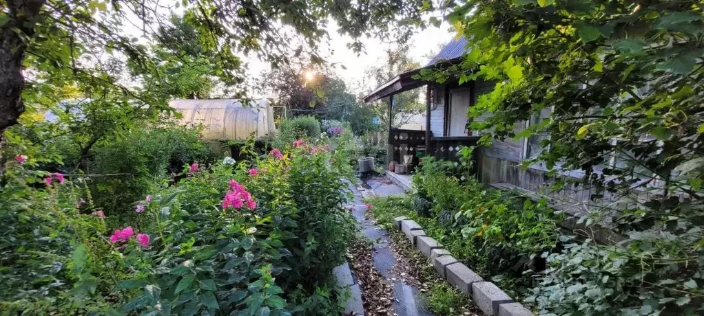 Дом в Сахалинская область, Южно-Сахалинск Медик СНТ,  (35 м) - Фото 1