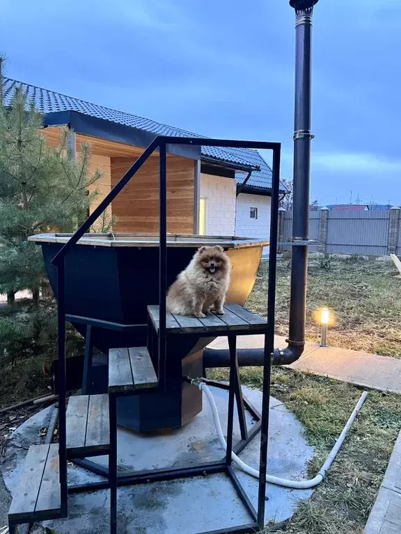 Дом в Красноярский край, Сосновоборск ул. 9-й Пятилетки (155 м) - Фото 1