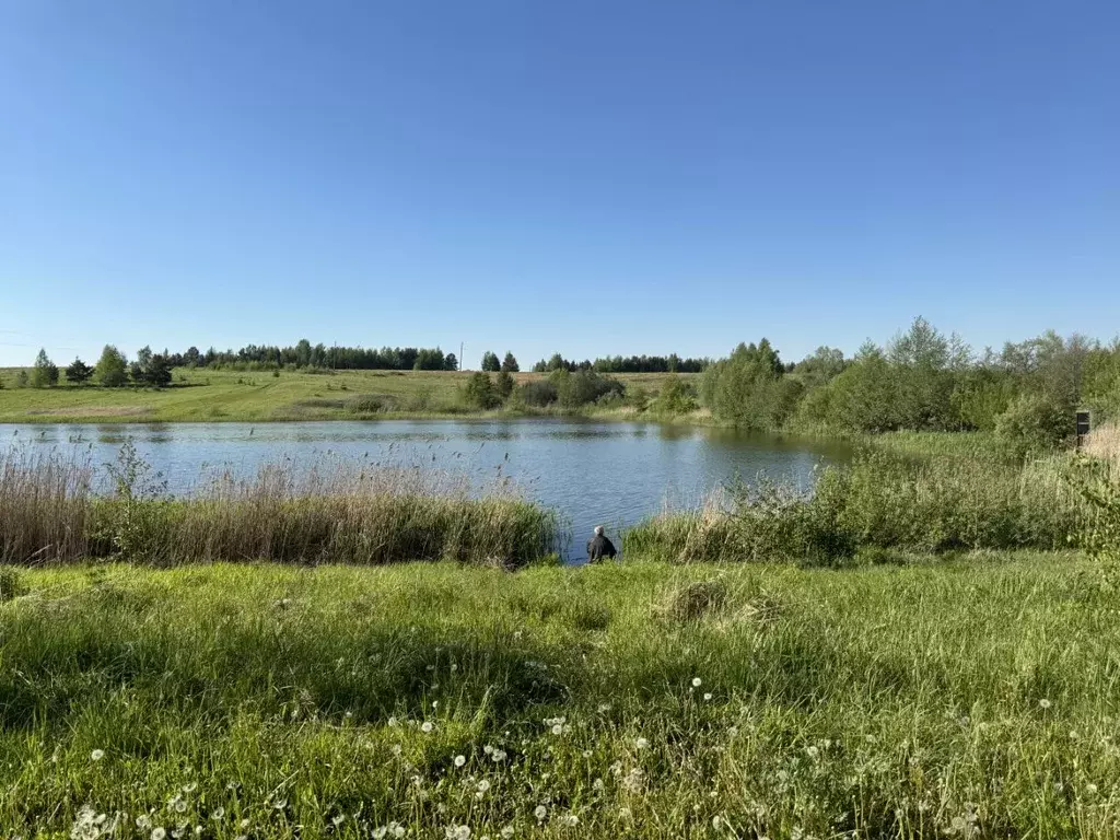 Участок в Нижегородская область, Богородский муниципальный округ  ... - Фото 0