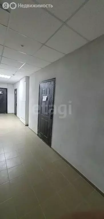 Квартира-студия: Ростов-на-Дону, Батуринская улица, 167/16 (24 м) - Фото 1