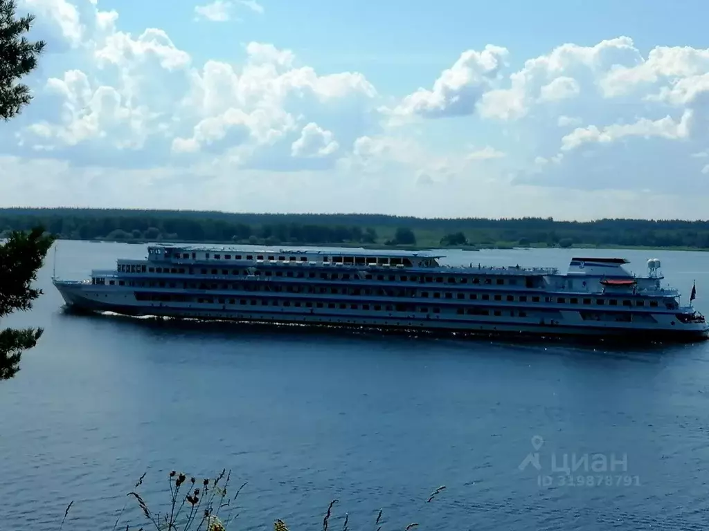 Участок в Ярославская область, Рыбинский муниципальный округ, д. Юрино ... - Фото 2