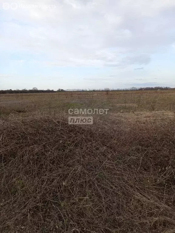 Участок в хутор Гавердовский, улица Шевченко (6.8 м) - Фото 2