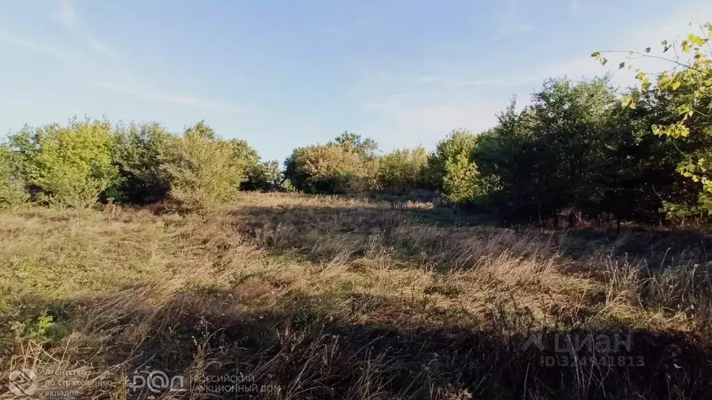 Участок в Саратовская область, Марксовский район, Подлесновское ... - Фото 1