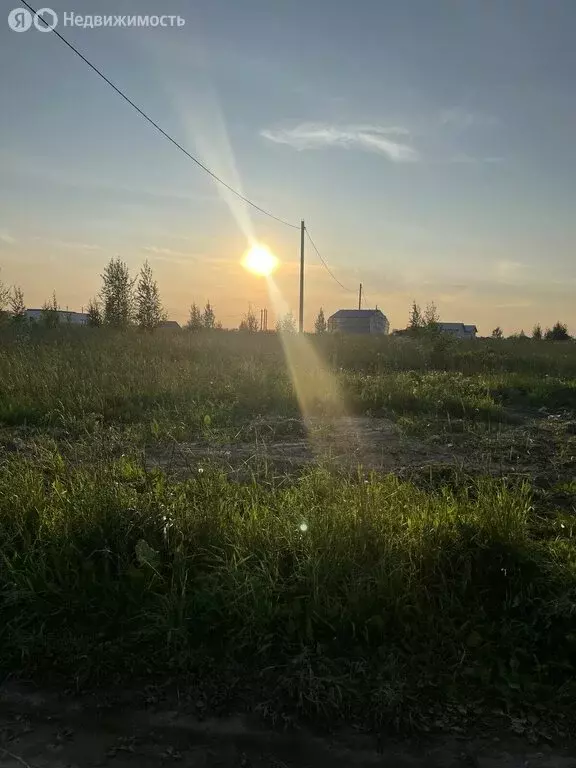 Участок в Всеволожский район, Колтушское городское поселение, деревня ... - Фото 1